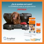 Post Lesigaurd Ecuphar-3