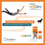 Post Lesigaurd Ecuphar-4