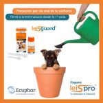 Post Lesigaurd Ecuphar-5