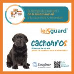 Post Lesigaurd Ecuphar-7