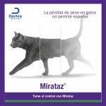 Post Mirataz Dechra