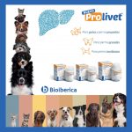 Post Prolivet Bioiberica