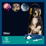 Post Sileo Ecuphar-3