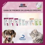Post Specific Dechra