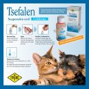 Post Tsefalen Fatro-1