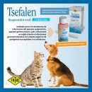 Post Tsefalen Fatro-2