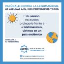 Post Verano Leti