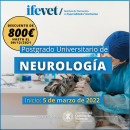 Postgrado Neurología
