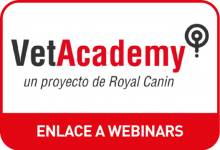 VetAcademy