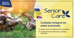 Zen Comprimidos - FB