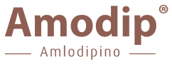 amodiplogo