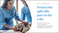 fotovideofivet