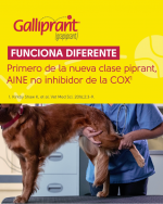 galliprantelanco