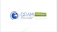 gramvideo