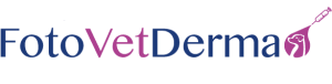logo-color