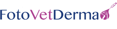 logo-color