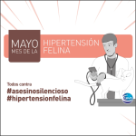 mayo_hipertension