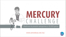 mercury