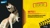 mito1