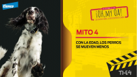 mito4elanco