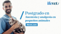 posgradoanestesia