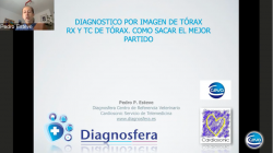 torax_ceva