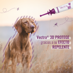 vectra3d2