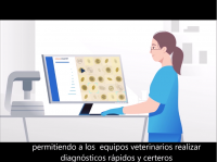vetscanimagyst