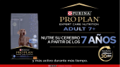 videopurina