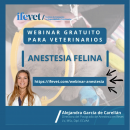 webinaranestesiafelina